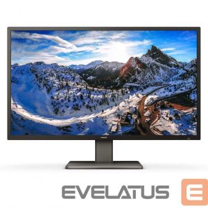 Monitors Philips  P Line 439P1/00 43 ", VA, 4K UHD, 3840 x 2160, 16:9, 4  ms, 400 cd/m², Headphone output, 60 Hz, HDMI ports quantity 3 
