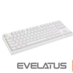 Datora tastatūra Genesis  Mechanical Gaming Keyboard THOR 404 TKL RGB Mechanical Gaming Keyboard Wired US Gateron Yellow Pro USB Type-A 1005 g 