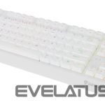 Datora tastatūra Genesis  THOR 230 | Mechanical Gaming Keyboard | Wireless | US | White | 2.4 GHz, Bluetooth, USB | Outemu Red 