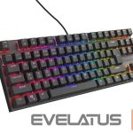 Datora tastatūra Genesis  THOR 303 | Mechanical Gaming Keyboard | Wired | US | Black | USB Type-A | Outemu Peach Silent 
