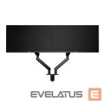 Interaktīvs risinājums Aoc international  AOC AM420 Dual Monitor Arm - black 