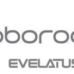 Putekļsūcēja piederums Roborock  VACUUM ACC WASHABLE FILTER/WH 8.02.0341 