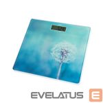 Ķermeņa svari ETA  Personal Scales | 178090040 Breeze | Maximum weight (capacity) 180 kg | Accuracy 100 g | Blue 