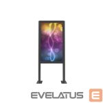 TV kronšteini EDBAK  | Floor stand | POK101 | 55 " | Maximum weight (capacity) 80 kg | Black 