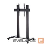 TV kronšteini EDBAK  Floor stand | TRV200 Videoconferencing Trolley | Tilt | 75-86 " | Maximum weight (capacity) 120 kg | Black 