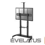 TV kronšteini NEOMOUNTS  PLASMA-M1950E TV trolley - 60-100" - max 100 kg - manual h 134-166 cm - VESA 200x200-1000x600 - incl. cam/hardware shelf - black 