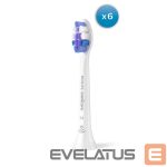 Zobu birste Philips  Replacement brush heads | HX6056/87 Sonicare Sensitive | Heads | For adults | Number of brush heads included 6 | White 