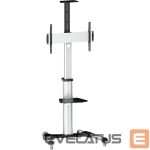 TV kronšteini Logilink  BP0025 TV stand cart, adjustable TV height, 37–70“, max. 50 kg  Floor stand, BP0025, 30-70 