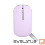 Datora pele Asus  Marshmallow Mouse | MD100 | Mouse | 2.4 GHz, Bluetooth | Beige 