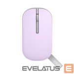 Datora pele Asus  Wireless Mouse MD100 Wireless, Blue, Bluetooth 