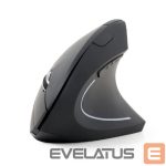 Datora pele Gembird  MOUSE USB OPTICAL WRL BLACK/ERGONOMIC MUSW-ERGO-01 