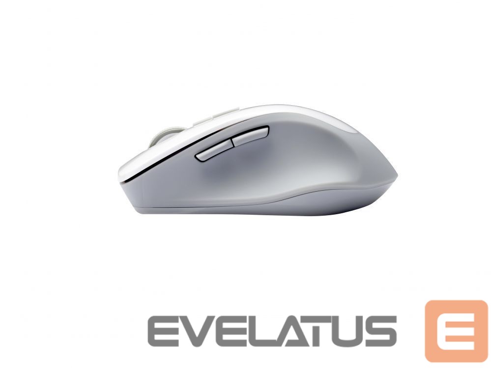 Datora pele Asus WT425 wireless, Pearl, White, Wireless Optical Mouse