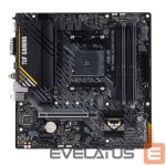 Pamatplate Intel procesorsiem Asus  TUF GAMING A520M-PLUS Processor family  AMD, Processor socket AM4, DDR4, Memory slots 4, Supported hard disk drive interfaces 	SATA, M.2, Number of SATA connectors 4, Chipset  AMD A520, Micro ATX 