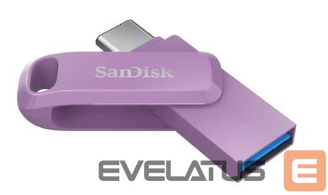 Zibatmiņa SANDISK BY WESTERN DIGITAL MEMORY DRIVE FLASH USB-C 256GB/SDDDC3-256G-G46L SANDISK