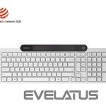 Datora tastatūra Lenovo  800 Self-Charging Bluetooth Keyboard-US English | Keyboard | Bluetooth | US English | White 
