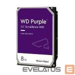 Cietais disks HDD Western Digital  HDD||Purple|8TB|SATA 3.0|256 MB|5640 rpm|3,5"|WD85PURZ 