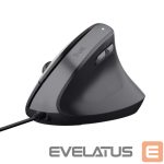 Datora pele Trust  MOUSE USB OPTICAL BAYO II/ERGONOMIC BLACK 25144 
