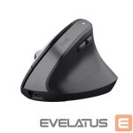 Datora pele Trust  MOUSE USB OPTICAL WRL BAYO+/ERGONOMIC BLK 25146 