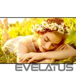 Monitors LG  4K UHD Signage | 65UL5Q-E | 65 " | 500 cd/m² | Landscape/Portrait | 24/7 | webOS | 8 ms | 178 ° | 178 ° 