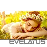 Monitors LG  4K UHD Signage | 86UL5Q-E | 86 " | 500 cd/m² | Landscape/Portrait | 24/7 | webOS | 8 ms | 178 ° | 178 ° 