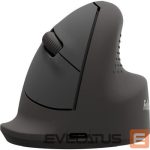 Datora pele Fellowes  MOUSE USB OPTICAL WRL VERTICAL/ERGO M RT 100143579 