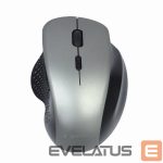 Datora pele Gembird  MOUSE USB OPTICAL WRL BLACK/SP. GREY MUSW-6B-02-BG 