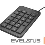 Datora tastatūra Trust  KEYBOARD NUMERIC XALAS/22221 