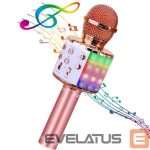 Mikrofons HQ  Royal Song WS-858 Karaoke Kids & Adult Fun Effect Microphone with Speakers & Recodr Micro SD USB 