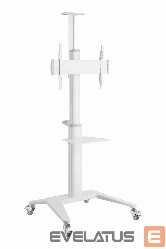 TV aksesuāri Gembird TV SET ACC FLOOR STAND 37-70"/WHITE TVS-70T-02-W