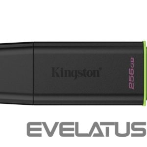 Zibatmiņa Kingston  MEMORY DRIVE FLASH USB3.2/256GB DTXG2/256GB 