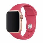 Siksniņa Devia Apple Watch 40mm/ 38mm strap Deluxe Sport Red