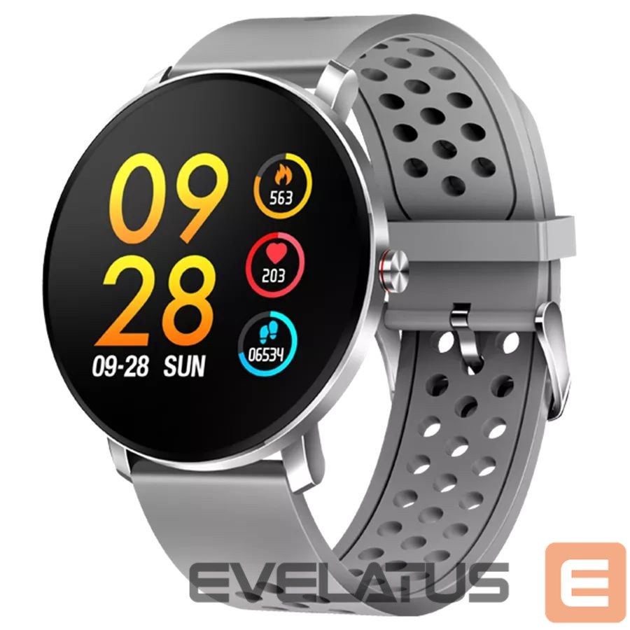 Viedpulksteni Denver SW-171 grey