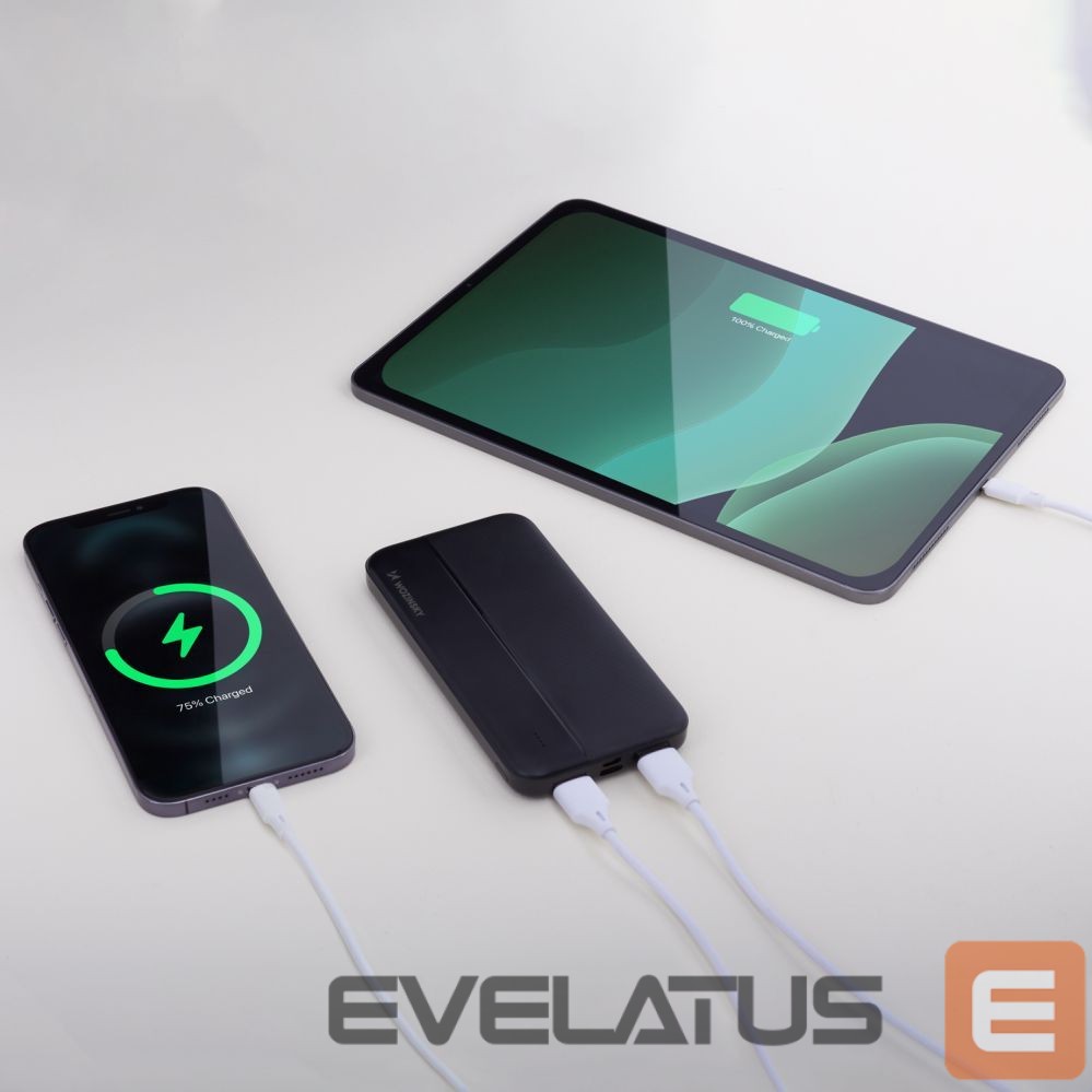 Ārējais akumulators Wozinsky Wozinsky powerbank Li-Po 10000mAh 2 x USB black (WPBBK1)