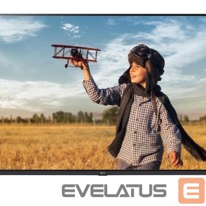 Televizors LG  TV Set||65 "|4K Ultra HD|3840 x 2160 pixels|Flat|16:9|LCD|65UA731C 