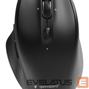 Datora pele Gembird  MOUSE USB OPTICAL WRL/MUSW2-6B-02 