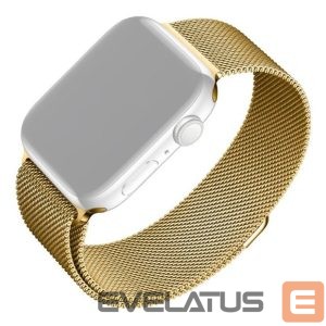 Siksniņa fixed  | Mesh Strap for Apple Watch 42/44/45/46/49mm | Gold 