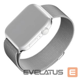 Siksniņa fixed  | Mesh Strap for Apple Watch 42/44/45/46/49mm | Silver 