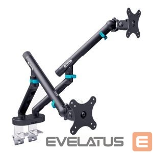 TV kronšteini Digitus  Desk Mount | Tilt, rotation, pivot | Dual design monitor mount, 2x 35", 2x 10 kg | 35 " | Maximum weight (capacity) 20 kg | Black 