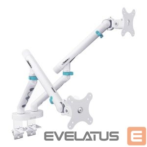 TV kronšteini Digitus  Desk Mount | Tilt, rotation, pivot | Dual design monitor mount, 2x 35", 2x 10 kg | 35 " | Maximum weight (capacity) 20 kg | White 